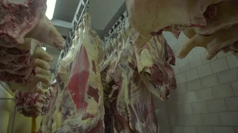 Meat factory Stock Footage 67853438