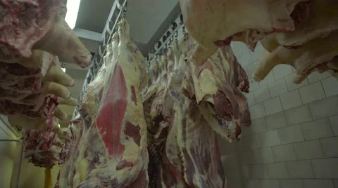 Meat factory Stock Footage 67853728