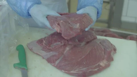 Meat factory Stock Footage 67853830
