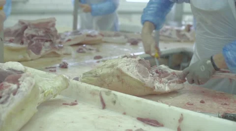 Meat factory Stock Footage 67854231