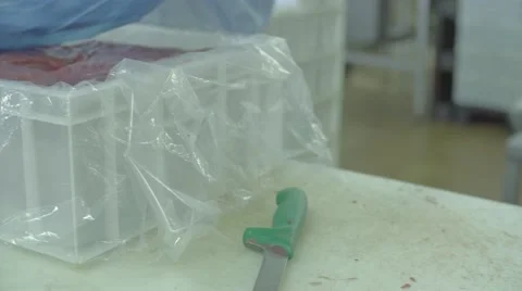 Meat factory Stock Footage 67854252