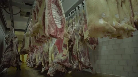 Meat factory Stock Footage 67854347