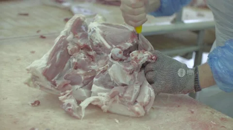 Meat factory Stock Footage 67854725