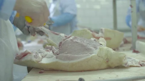Meat factory Stock Footage 67854769