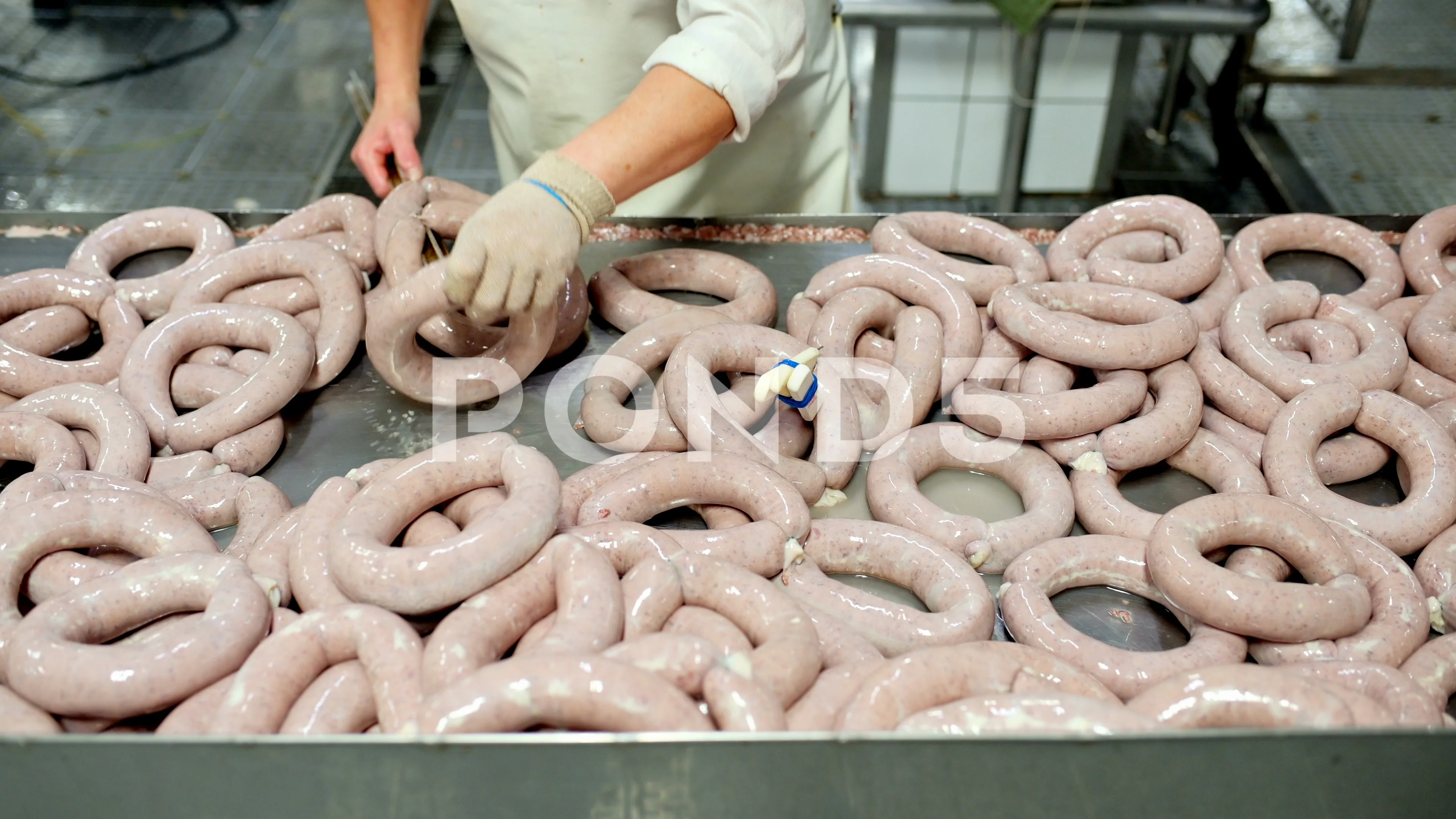 Meat & Sausage Manufacturing