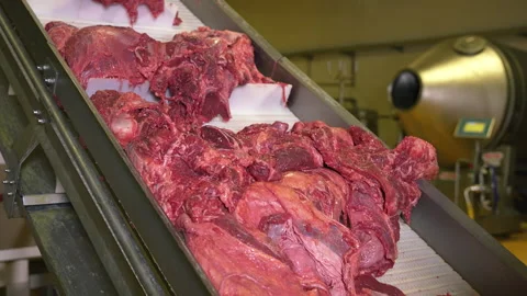 Meat factory, meat production. Stock Footage 246564584
