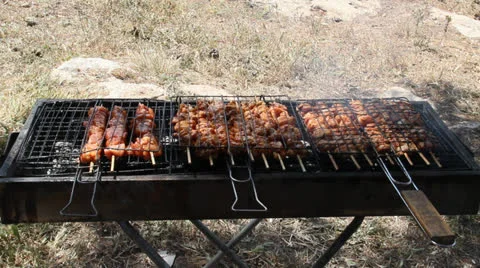 Meat on fire Stock Footage 22680627