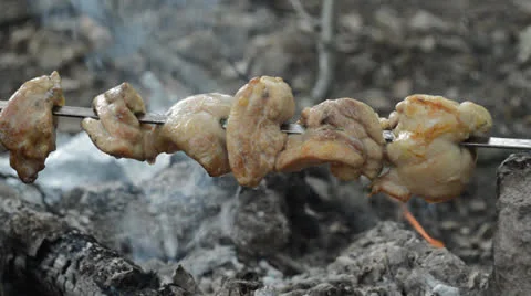 Meat Stock Footage 23120052