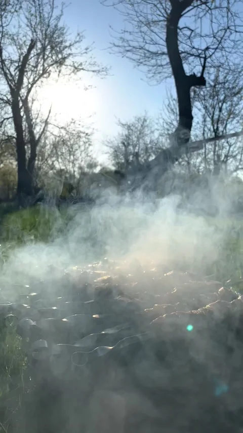 Meat Stock Footage 166057974