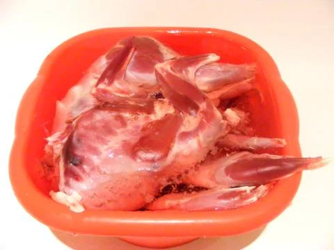 Meat of forest wild rabbit Stock Photos