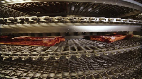 Meat in the freezing stage for an automatic cutter Stock Footage 205489952