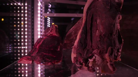 Meat in the fridge 50fps 動画素材 229934737