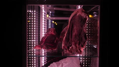 Meat in the fridge 50fps 動画素材 229934765