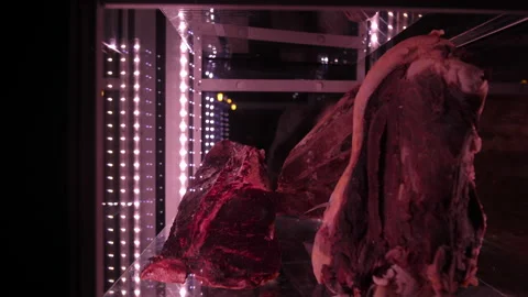 Meat in the fridge 50fps 動画素材 229934790