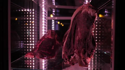 Meat in the fridge 50fps 스톡 동영상 229934808