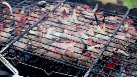 Meat is fried on charcoal. Stock Footage 77459552