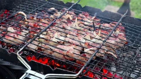 Meat is fried on charcoal. Stock Footage 77459837