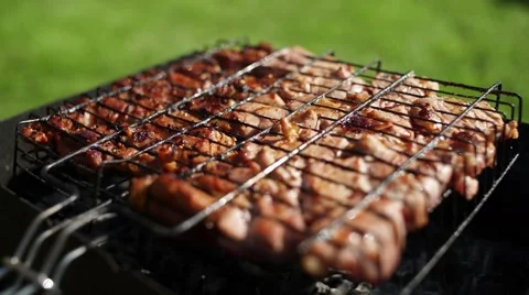 Meat is fried on coals. Camping. Appetizing roasted meat Video stock 67655711