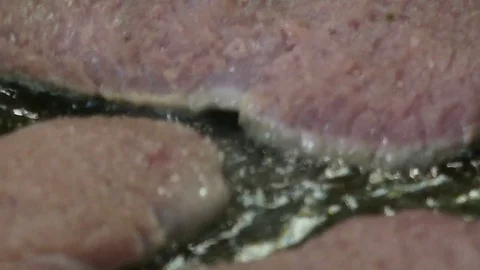 Meat is Fried in Oil Stock Footage 78595637