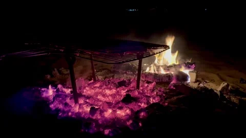 Meat is fried over coals at night in the dark Stock-Footage 313593876
