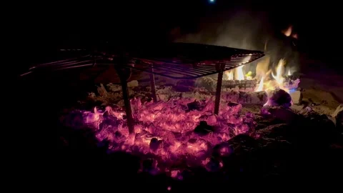 Meat is fried over coals at night in the dark Stock Footage 313593885