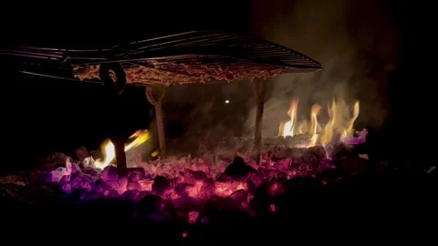 Meat is fried over coals at night in the dark Stock Footage 313593898