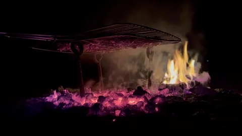 Meat is fried over coals at night in the dark Stock Footage 313593902