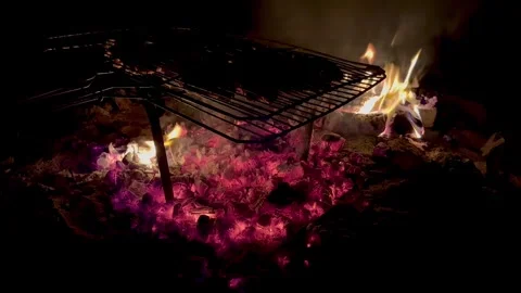 Meat is fried over coals at night in the dark Stock Footage 313593904