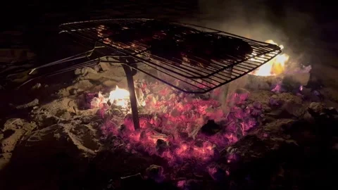 Meat is fried over coals at night in the dark Stock Footage 313593906