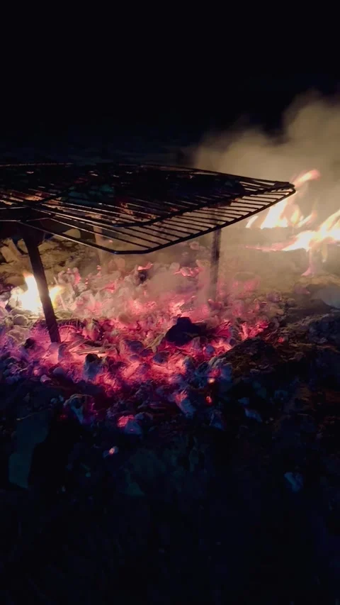 Meat is fried over coals at night in the dark Stock Footage 313593919