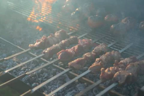 The meat is fried over an open fire, a weekend barbecue. Stock Photos