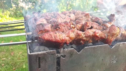 Meat fried in summer picnic Stock Footage 117411667