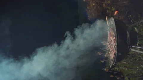 The meat is fried on a wire rack 스톡 동영상 166931336