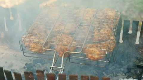 The Meat On The Grill. Camping. Bbq Stock-Footage 94548183