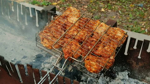 The Meat On The Grill. Camping. Bbq 스톡 동영상 94548278