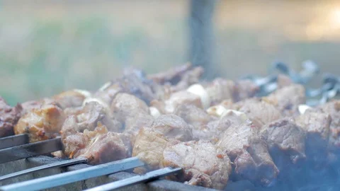 Meat on the grill Stock Footage 112431953