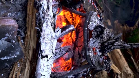 Meat on the grill Vídeo Stock 281717135