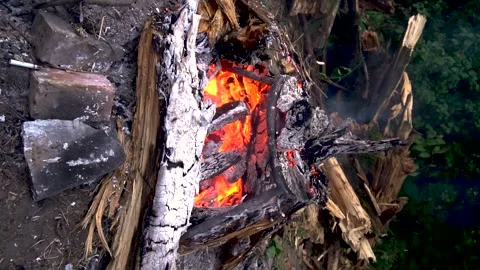 Meat on the grill Video stock 281717139