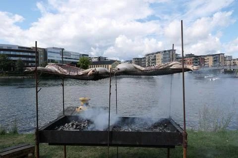 Meat on grill outside Stock Photos