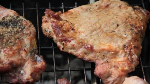 Meat grilled Stock Footage 78071119