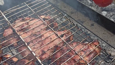 Meat is grilled on the grill Vidéo 163225780
