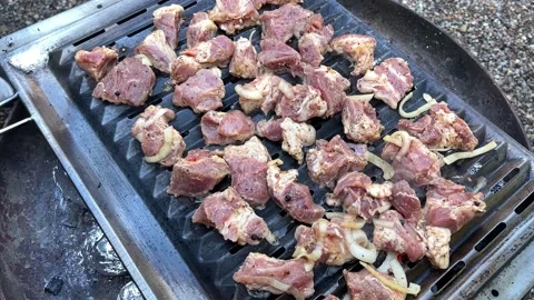 Meat is grilled on the grill Stock Footage 230083279