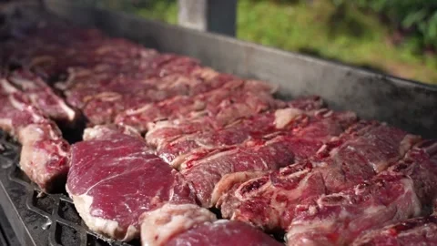 Meat Grilling 動画素材 168780388