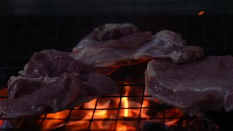Meat grilling on slow motion fire flame on night background Stock Footage 235552279