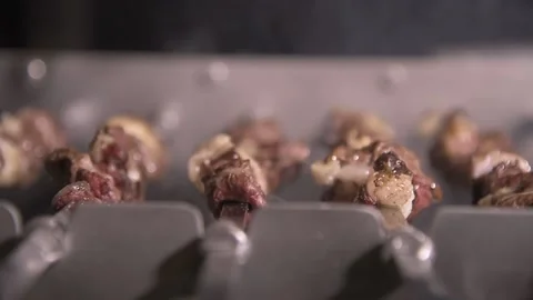 Meat Grills Vídeo Stock 169044621