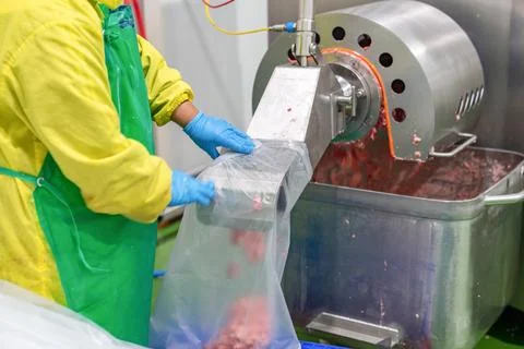 The meat in the Grinder being extruded. Stock Photos