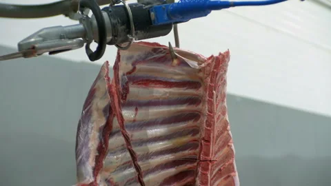 Meat hanging from a hook 스톡 동영상 93265238