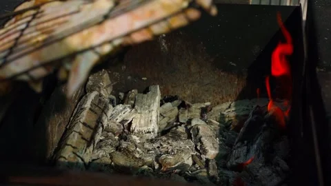 Meat is held in a net over the burning coals in a barbecue. Stock Footage 317675012