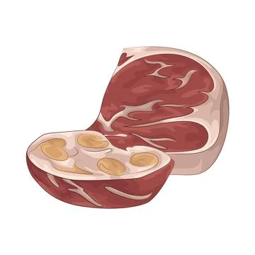 Meat Illustration Illustrazione stock