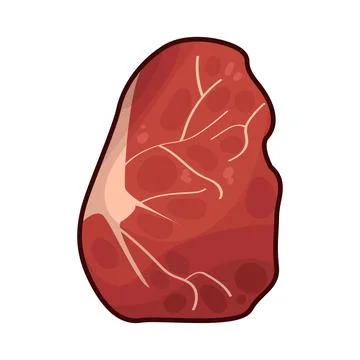 Meat illustration Stock Illustration